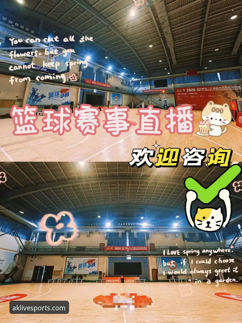 揭秘AK体育直播官方入口的真实体验——你不知道的赛事平台深度解析